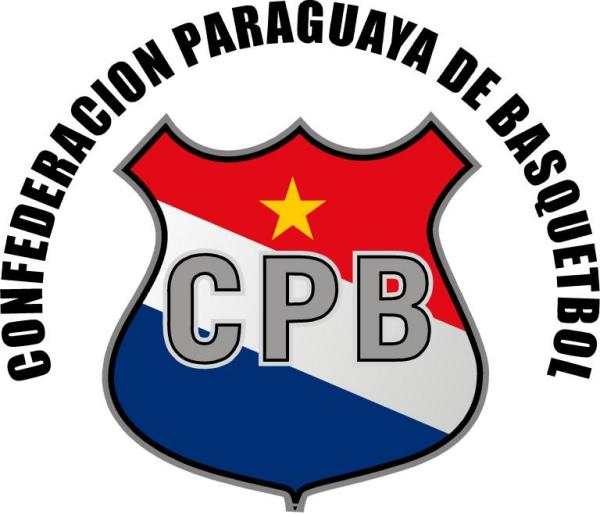 Paraguay 0-Pres Primary Logo iron on transfers for clothing